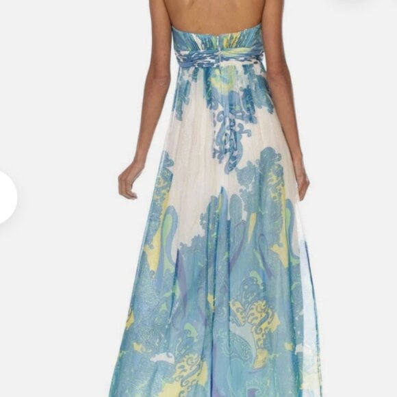 Cache Paisley Maxi Dress. Dress size 4 - Picture 3 of 5